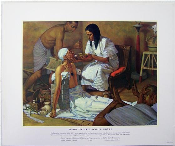 Medicine In Ancient Egypt: Medicine In Ancient Egypt By Robert Thom 13" X 10"