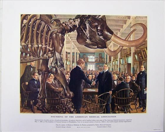 Founding Of American Medical Association