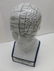 Porcelain - head for Phrenology