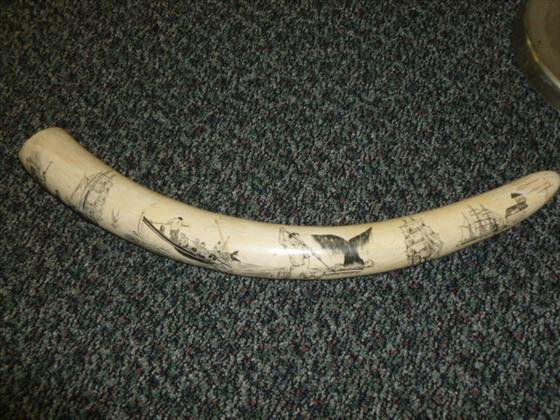 Large 25" Elephant tusk? Schrimshaw - 6 scenes: Large 25" Elephant tusk? Schrimshaw - 6 scenes of whale hunting with men in boats and sailing ships- great piece-and details