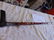19th Century Cane Gun 9 MM Rim Fire Shot Cart. Apprised