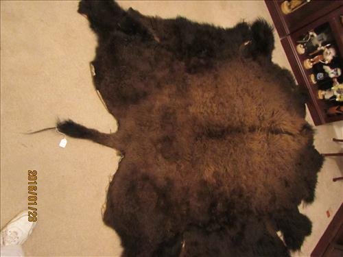 Buffalo Rug 84" long x 78" wide: Buffalo Rug 84" long x 78" wide