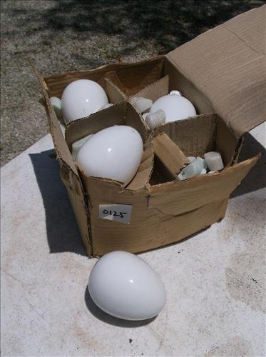 8 WHITE GLAZED EGGS 3 1/4"L: 8 WHITE GLAZED EGGS 3 1/4"L