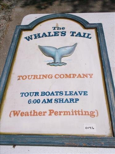 THE WHALE'S TALE TOURING COMPANY WOOD SIGN: THE WHALE'S TALE TOURING COMPANY WOOD SIGN 26 3/4"H X 17 1/4"W