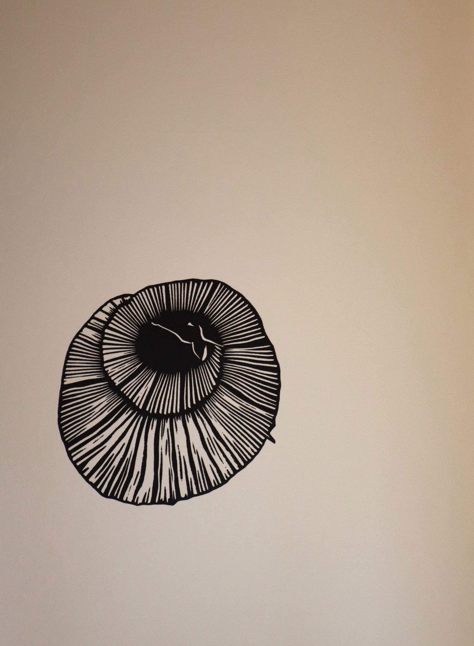 Michelle Stuart "Armadillo" Limited Edition Linoleum Cut Print: 1990 Relief print in black and ochre on Somerset paper from "Bestiary" collection. Copy of Artist Signature on cellophane accompanies the print as well as accompanying poem/description by Bradford Mor