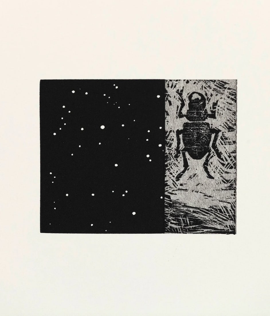 Vija Celmins : Beetle / Nightsky: Woodcut and linoleum cut on Somerset paper. "Beetle" is a poignant example of Celmins’ depictions of both nature and the animal world. Celmins believed that the image can translate an emotional stat
