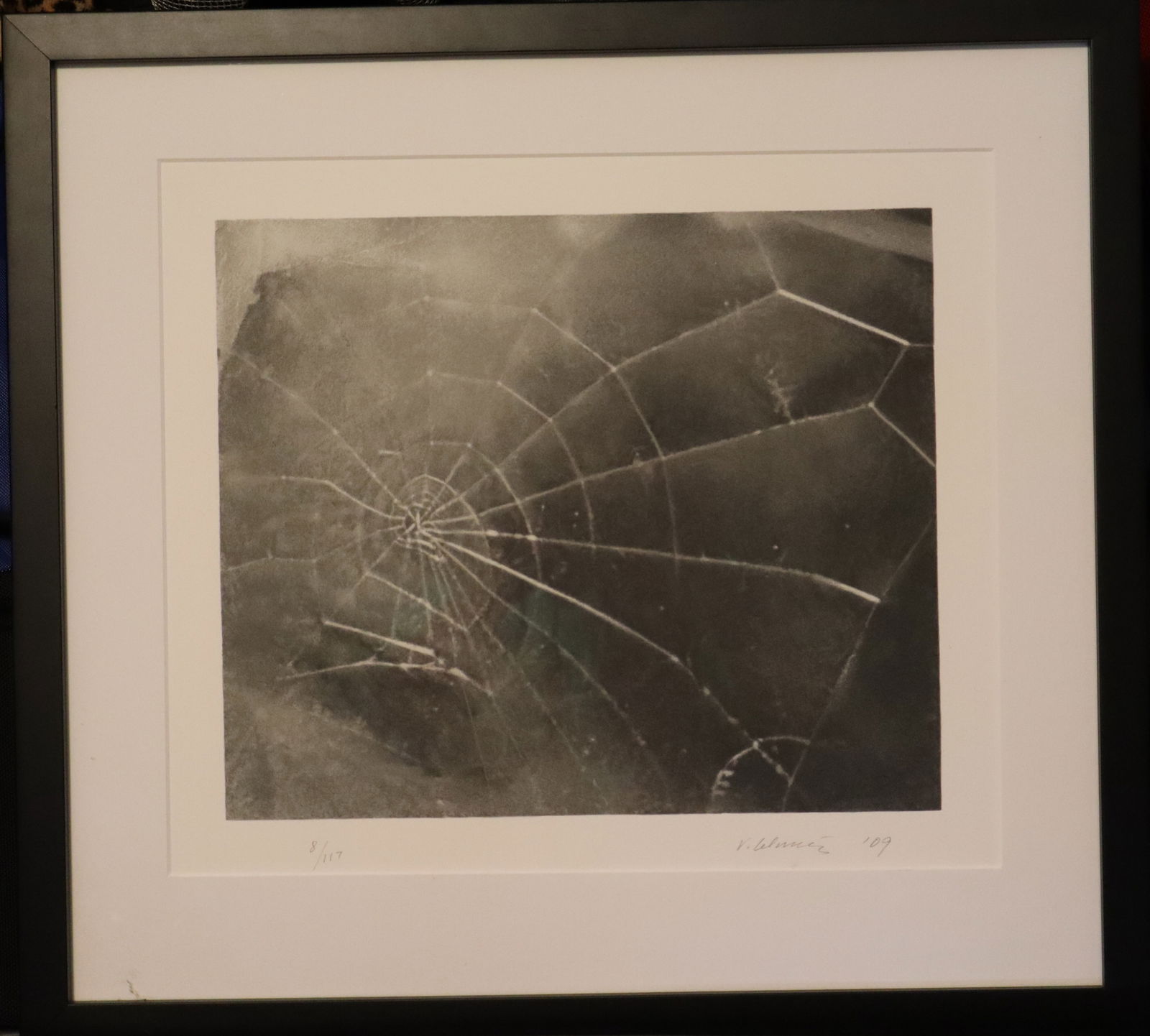 Vija Celmins : Web #5 (1 of 8)