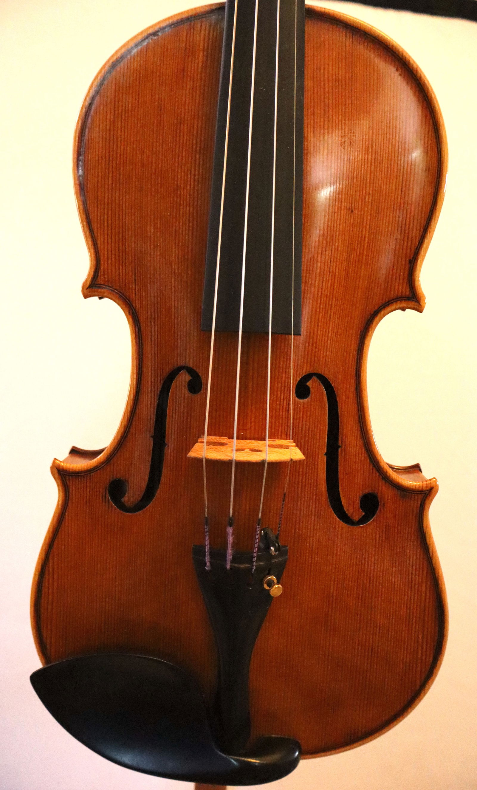 A 4/4 Violin labeled Enzo Barbieri (1 of 11)