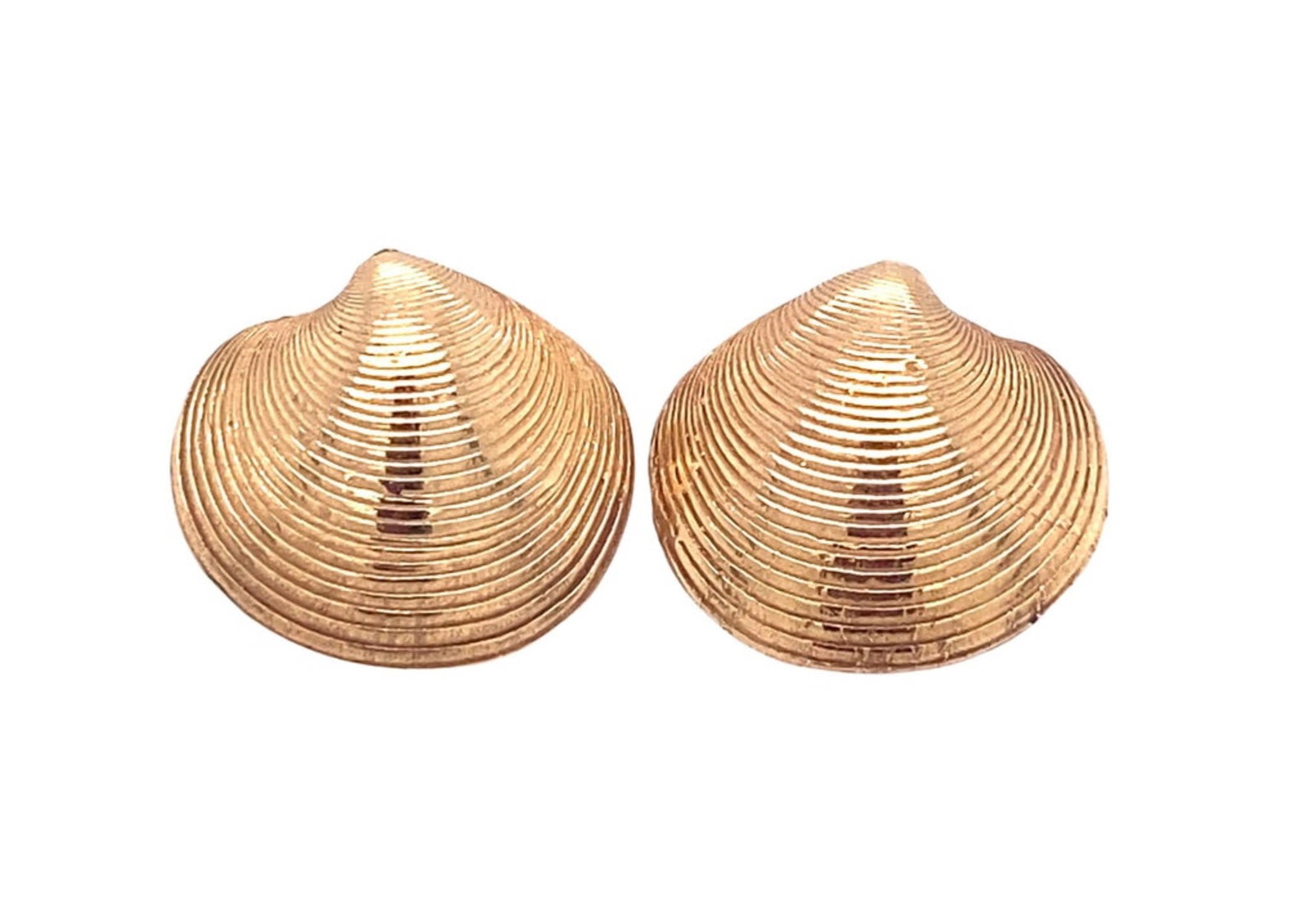 Scallop Seashell Stud Earrings in 14K Gold (1 of 6)