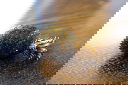 Estate Enamel Pineapple Box Pendant in 18K Yellow Gold