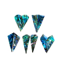 Lot of 5 Abalone Pairs