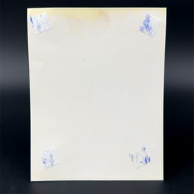 Rod Carew Minnesota Twins Autographed Photo