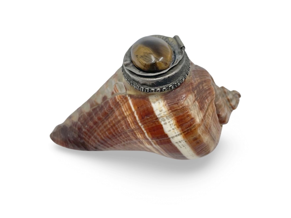 19th Century Victorian Nautilus Shell Snuff Box with Tiger's Eye Appliqued Silver Lid (1 of 10)