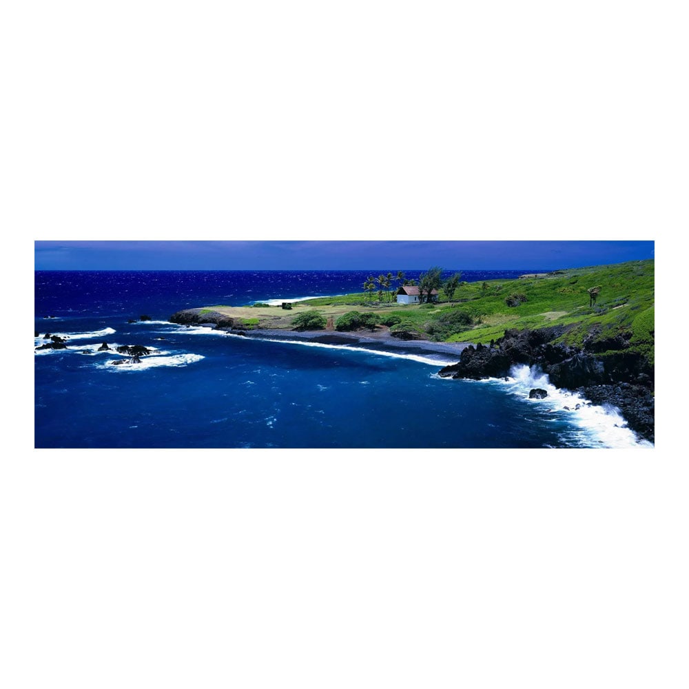 Peter Lik “Ocean Temple" 45/950 Framed Original with COA. (1 of 4)