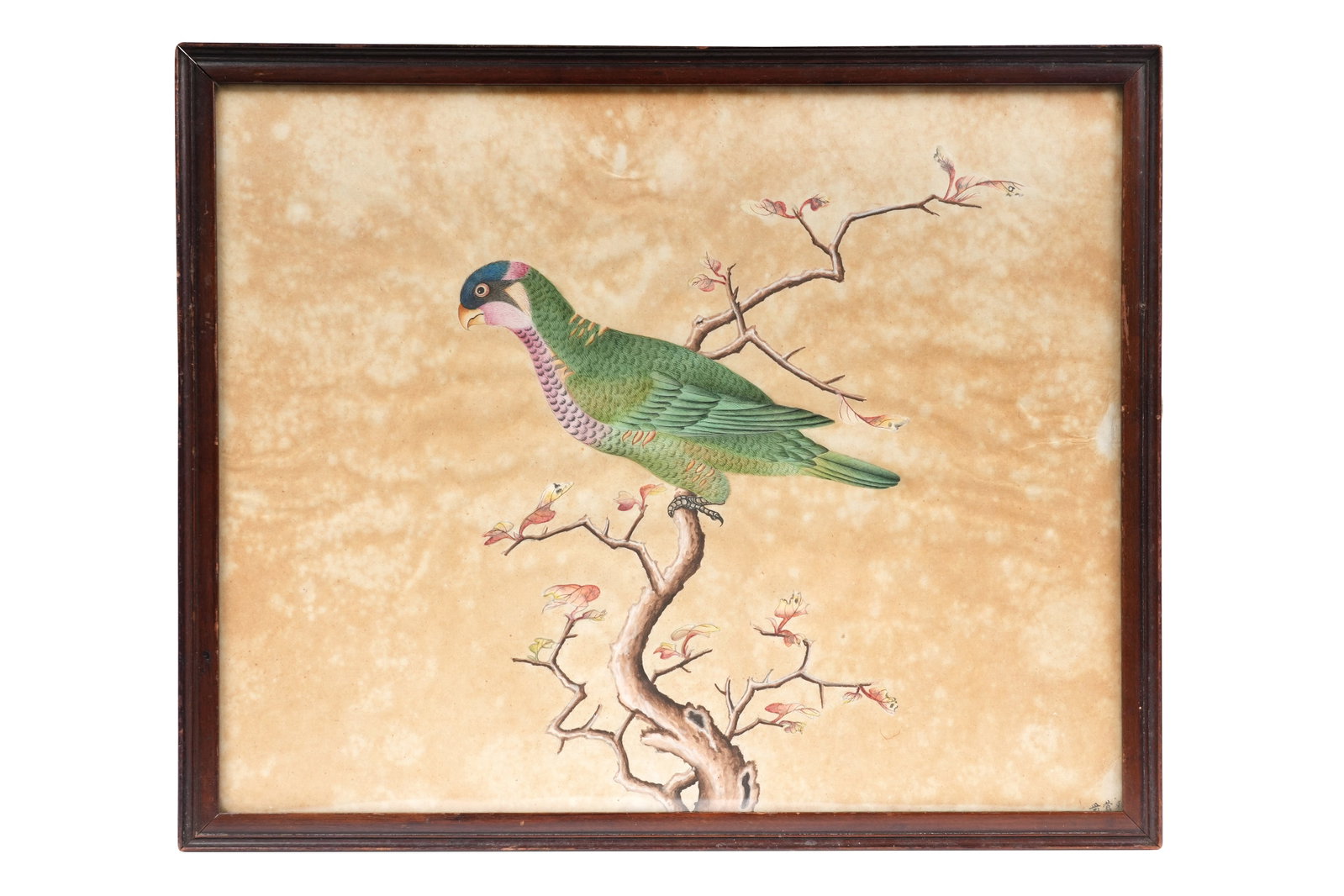 A CHINESE GOUACHE PAINTING OF A PARROT Qing dynasty, 18th / 19th century: A CHINESE GOUACHE PAINTING OF A PARROT Qing dynasty, 18th / 19th century Depicting a realistically rendered green bird perched on an autumnal branch, a three character signature to the lower right cor