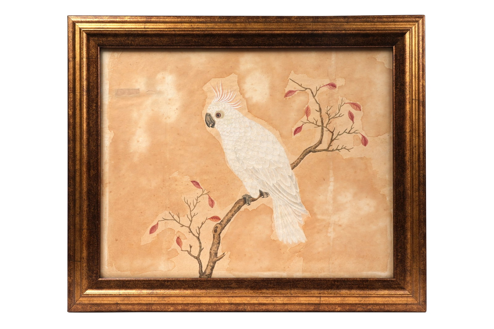 A CHINESE PAINTNG OF A WHITE COCKATOO Qing dynasty, 18th / 19th century (1 of 3)