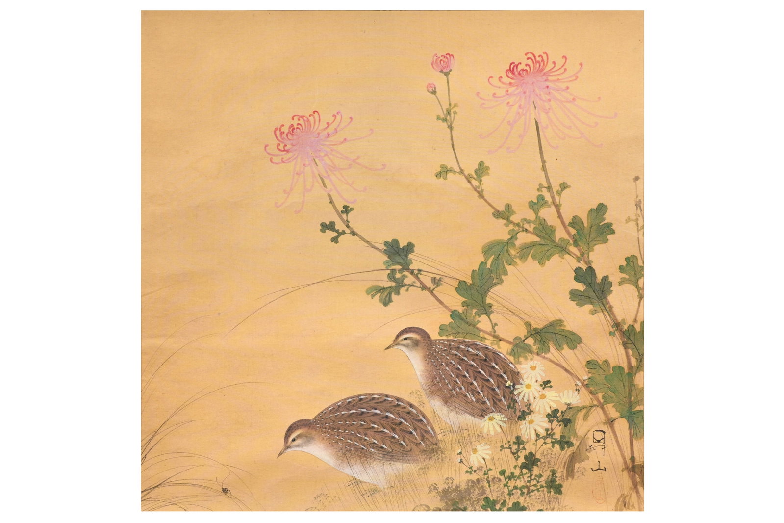 NOBORU IWAI (1871 — 1953) Meiji period: " NOBORU IWAI (1871 — 1953) Meiji period A Japanese hanging scroll painting, kakejiku, ink and colour on silk, depicting a pair of quails among sprays of wild chrysanthemums observing a beatle among