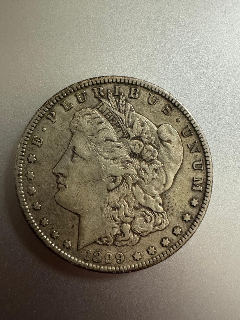 1899-S Morgan dollar (1 of 2)