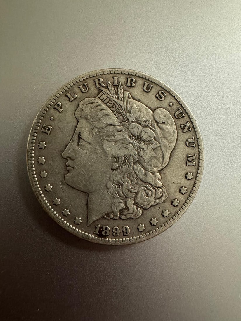 1899-S Morgan dollar (1 of 2)
