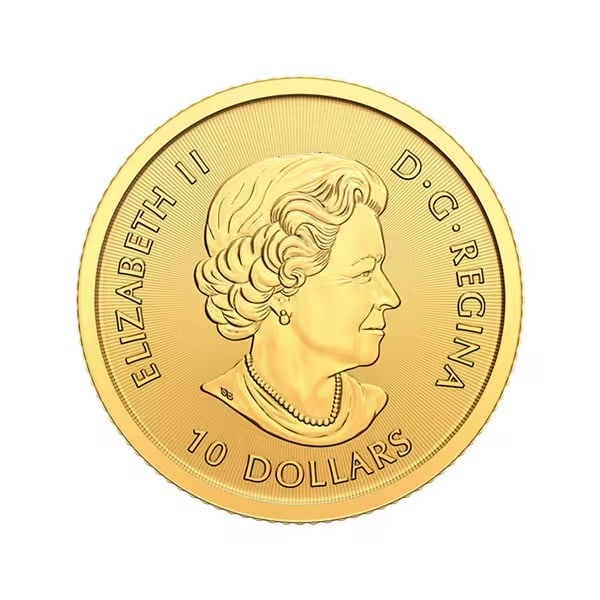 Canada $10 Gold 1/4 Oz. Bison 2014 BU: The 2014 Canada Bison coin is struck from 1/4 oz of .9999 fine gold with a $10 face value. Issued by the Royal Canadian Mint, it features a detailed image of the powerful bison. Offered in Brilliant U