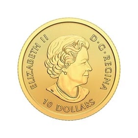 Canada $10 Gold 1/4 Oz. Bison 2014 BU: The 2014 Canada Bison coin is struck from 1/4 oz of .9999 fine gold with a $10 face value. Issued by the Royal Canadian Mint, it features a detailed image of the powerful bison. Offered in Brilliant U