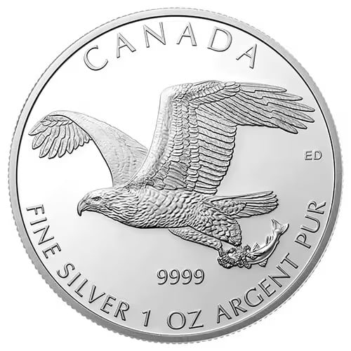 Canadian Silver 1 oz Bald Eagle 2014 (Birds of Prey Series) (1 of 2)