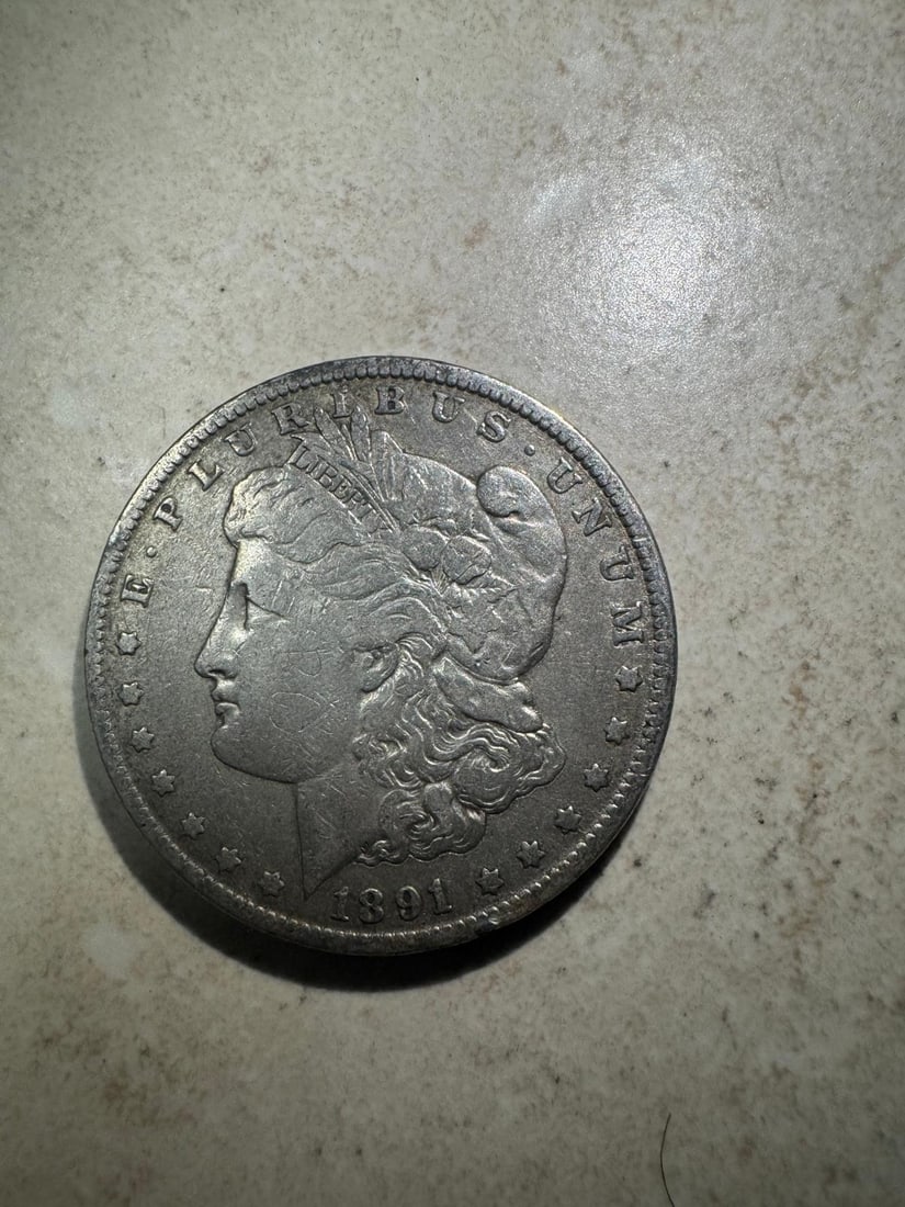 1891 Morgan Dollar Fine