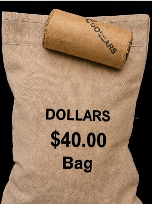 BU $20 1999 & 1999 1 oz & BU $40 1 oz Canadian Silver BAG: This lot contains 20 Brilliant Uncirculated (BU) 1999 1 oz Canadian Silver coins displaying bright mint luster and crisp detail. Also included is a $40 face value sealed bag of 1 oz Canadian Silver co