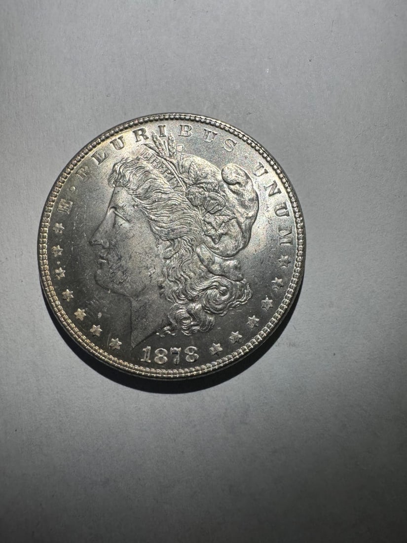 1878- Morgan dollar 7 TF (1 of 2)