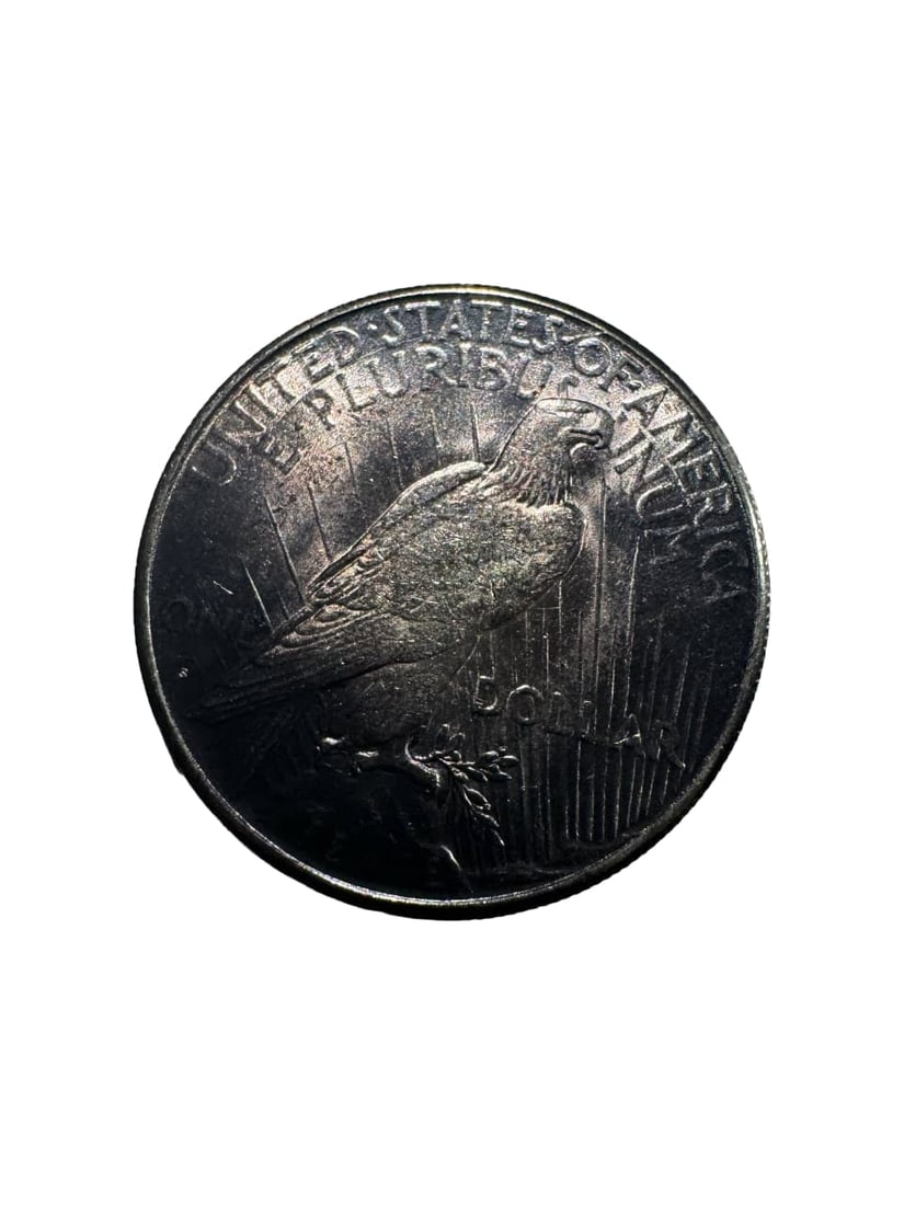 1925 - S Peace Dollar Toned - 2