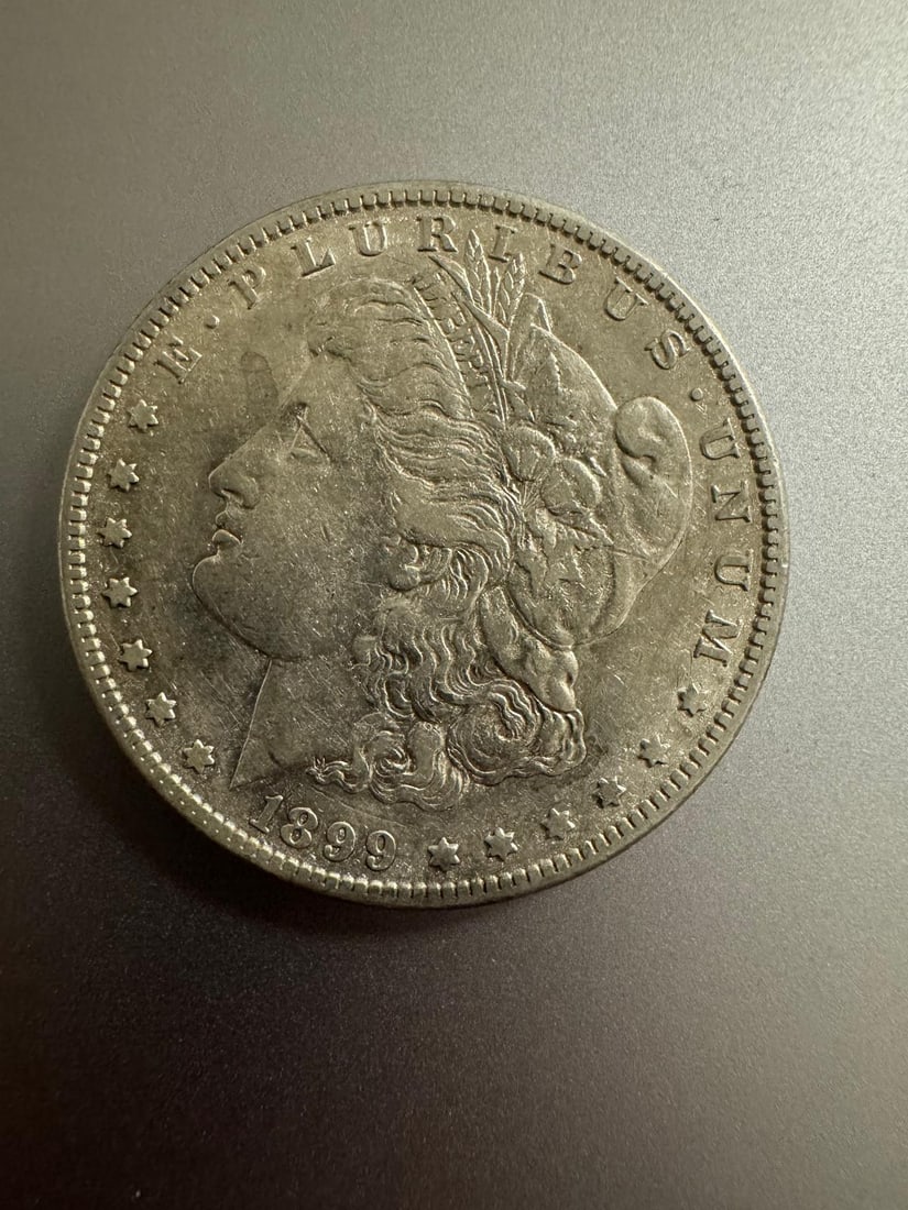 1899-S Morgan dollar (1 of 2)