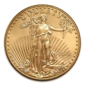 2014 American Gold Eagle 1 oz Uncirculated (1 of 2)