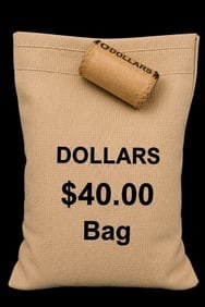 BU $10 1999 & 1999 1 oz & BU $40 1 oz Canadian Silver BAG: This lot contains 10 Brilliant Uncirculated (BU) 1999 1 oz Canadian Silver coins with strong mint shine and crisp detail. Also included is a $40 face value sealed bag of 1 oz Canadian Silver coins (40