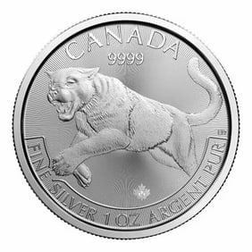 Canadian Silver 1 oz Cougar 2016 (Predator Series): This 2016 Canadian Silver Cougar coin contains 1 troy ounce of .9999 fine silver and showcases a powerful cougar in a dynamic hunting pose. Struck by the Royal Canadian Mint as part of the Predator Se