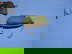 item-206755706=16