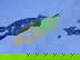 item-206755706=17