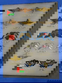Airborne Paratrooper Wings, Patch Insignia Lot, JORDAN, DUBAI, OMAN
