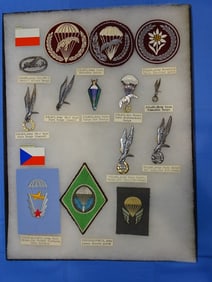 Airborne Paratrooper Wings, Patch Insignia Lot, POLAND, CZECHOSLOVAKIA