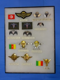 Airborne Paratrooper Wings, Patch Insignia Lot, TUNESIA, CAMEROON, MALI