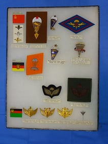 Airborne Paratrooper Wings, Patch Insignia Lot, USSR, GERMANY, AFGHANISTAN