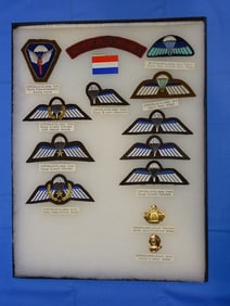 Airborne Paratrooper Wings, Patch Insignia Lot, NETHERLANDS