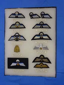 Airborne Paratrooper Wings, Patch Insignia Lot, NETHERLANDS
