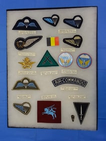 Airborne Paratrooper Wings, Patch Insignia Lot, BELGIUM