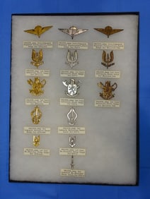 Airborne Paratrooper Wings, Patch Insignia Lot, BELGIUM
