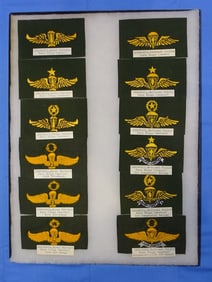 Airborne Paratrooper Wings, Patch Insignia Lot, INDONESIA