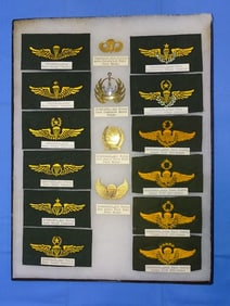 Airborne Paratrooper Wings, Patch Insignia Lot, INDONESIA