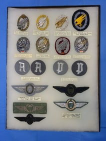 Airborne Paratrooper Wings, Patch Insignia Lot, GERMAN