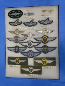 Airborne Paratrooper Wings, Patch Insignia Lot, WEST GERMAN