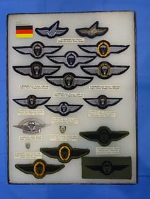 Airborne Paratrooper Wings, Patch Insignia Lot, WEST GERMAN