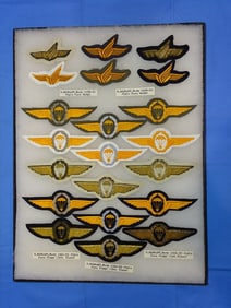 Airborne Paratrooper Wings, Patch Insignia Lot, WEST GERMAN
